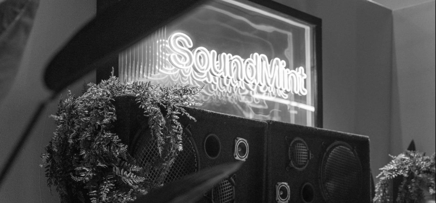 SoundMint Image